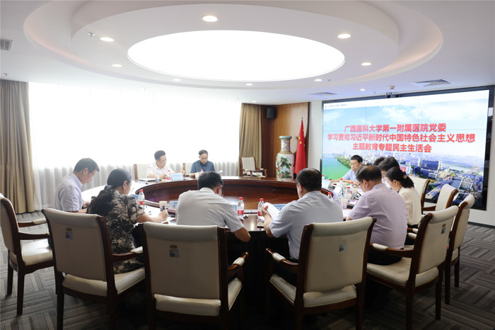 我院党委召开学习贯彻习近平新时代中国特色社会主义思想主题教育专题民主生活会