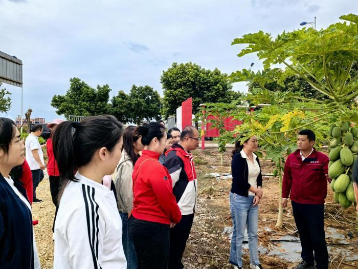 老年病学科三支部联合心研所三支部赴明阳农场开展主题党日活动