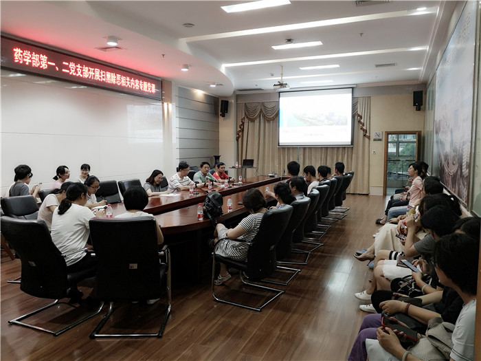 我院药学部第一、第二党支部联合开展专题党课教育活动