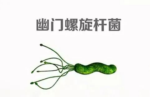 “头号胃癌因子”幽门螺杆菌丨每2人中就有1人感染，有这些症状赶紧查