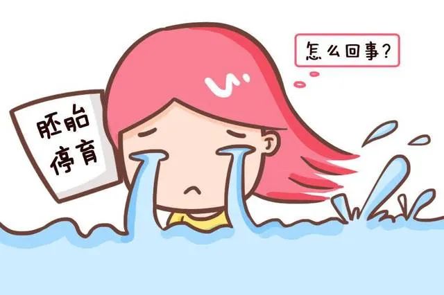 怀孕不易,怀上了还怕掉!如何预防复发性流产?