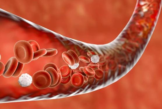 血药浓度、TDM、出院带药相关……这是一篇医护人员也要看的科普