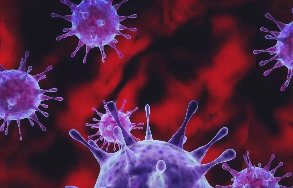 警惕!265名学生身体不适,确认病毒感染,这些地方易暴发