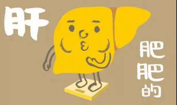 脂肪肝最容易盯上这4类人,赶紧查看!最佳防治措施是……