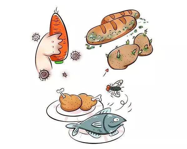 呕吐、腹泻,甚至休克!小心夏季这些常见肠道致病菌