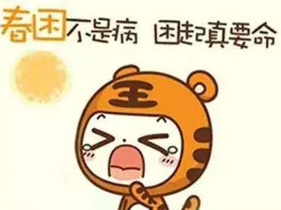 为什么会春困？这讨厌的回南天，好像我更困了……