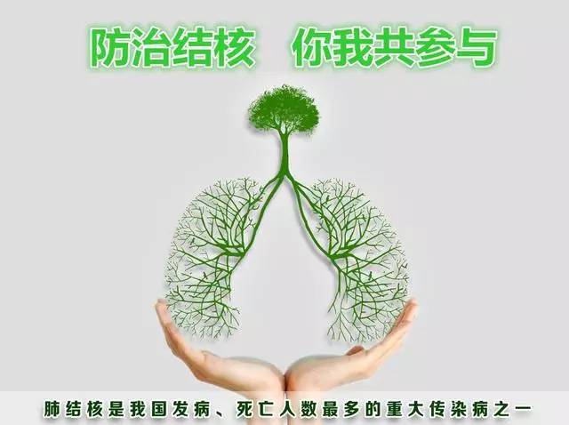 世界防治结核病日 | 曾经的白色瘟疫如今可防可治