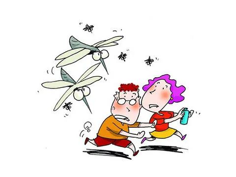 被蚊虫叮咬后怎么处理？可能很多人都做错了