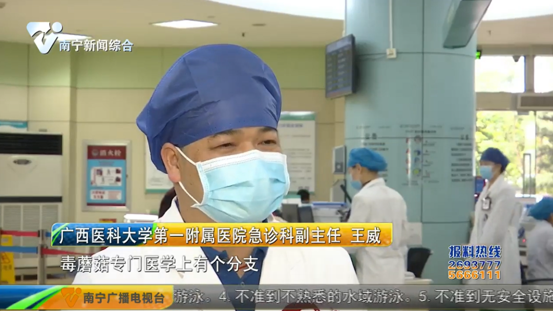 “夺命”蘑菇高发季!专家提醒:路边的蘑菇别乱采