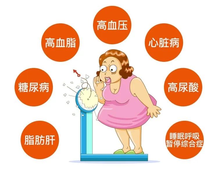 不吃晚餐真的能减肥吗?这些减重基本常识必须人手一份