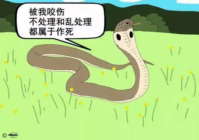 在自家院子里被毒蛇咬伤！专家：广西常见毒蛇10多种，遇蛇应这样自保自救