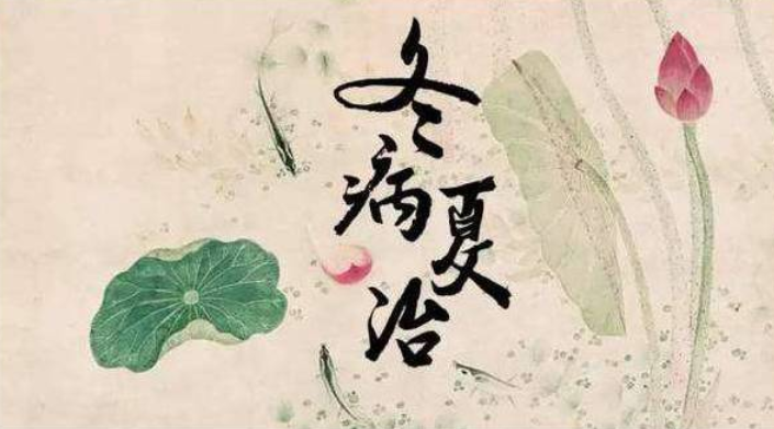 今日入伏丨三伏贴，安排！