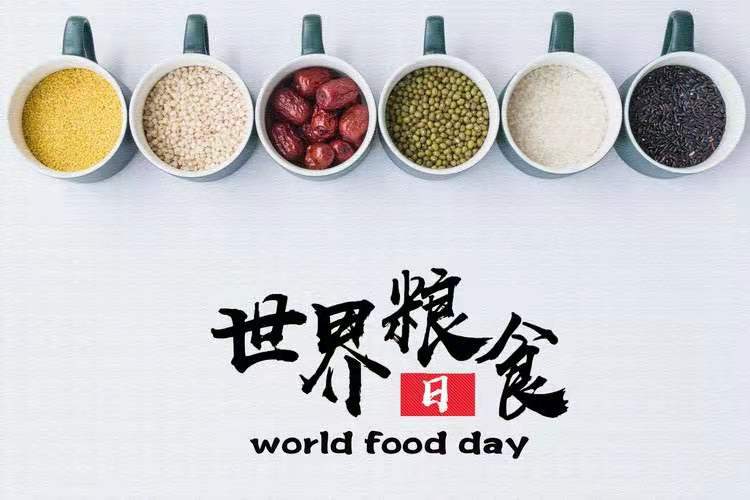 世界粮食日 | 一起来上“光盘”数学课