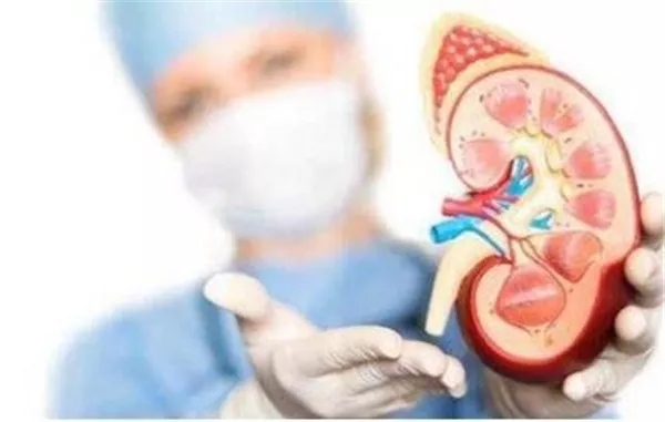 00后都已经开始痛风了！请多多关心您的肾