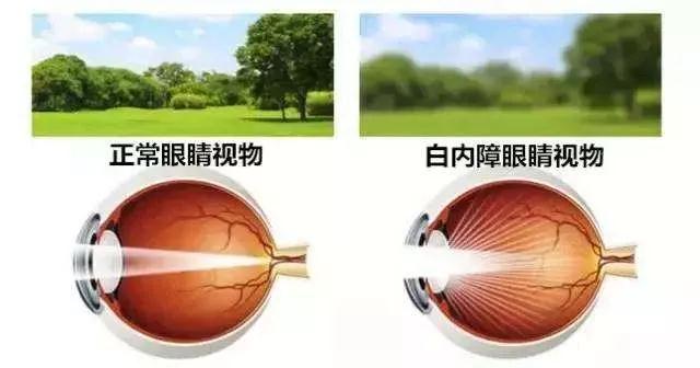 微信图片_20210813085054.jpg 微信图片_20210813085054.jpg