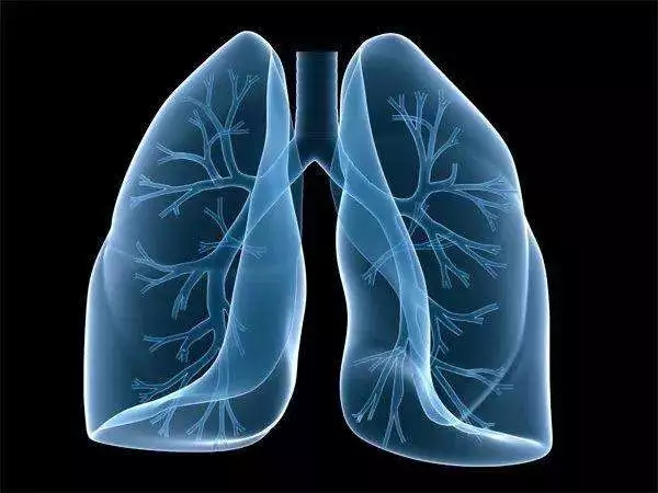 小心！咳嗽、咳痰超过两周，警惕患上“白色瘟疫”