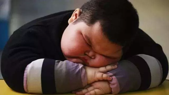 惊！中国有近4000万小胖墩，肥胖也是一种营养不良