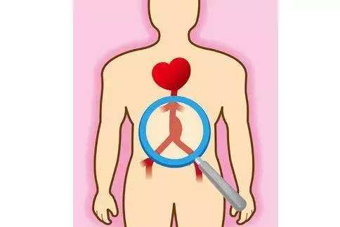 【医科全说】身体里的