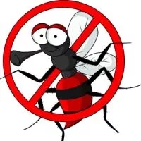 男子发烧后回国在机场被“拦”，竟是蚊子惹的祸