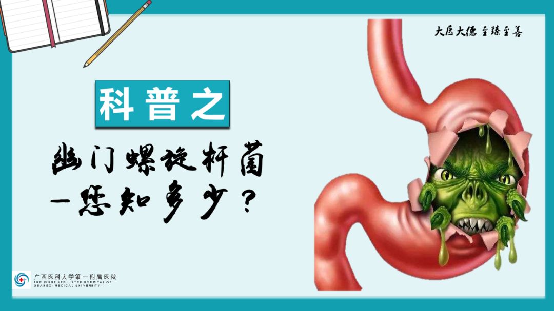 【科普】让你胃疼的也许是这个幽门螺旋杆菌