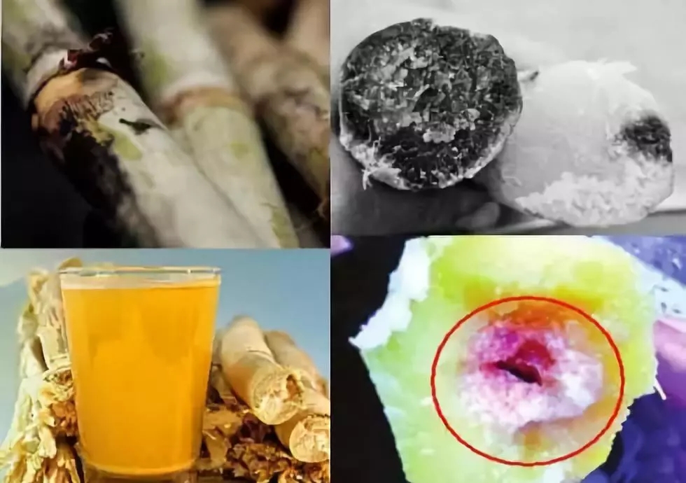 【人民日报】这种路边常见水果，女子吃完生命垂危！正是高发期！