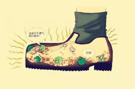 《医学科普记·脚气小传》，一旦有香港脚（足癣），要尽早根除哦