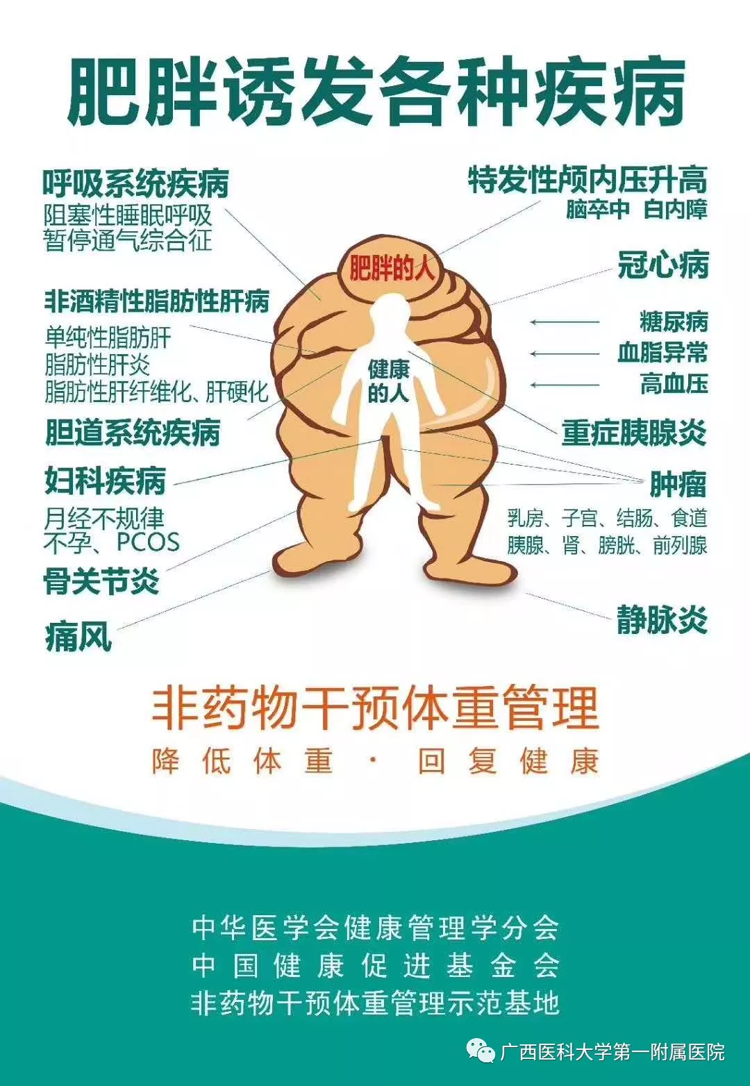 怕胖？这个项目也许对您有用