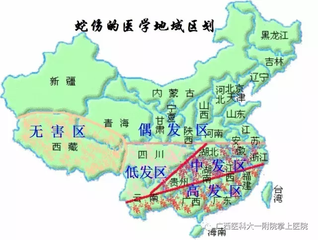 春天来了，蛇类开始出动，广西毒蛇种类多，这几个月都得多加小心