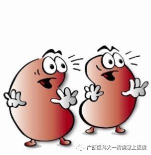 【医科全说】警惕儿童的肾病，宝爸宝妈们如何尽早发现孩子患肾病？