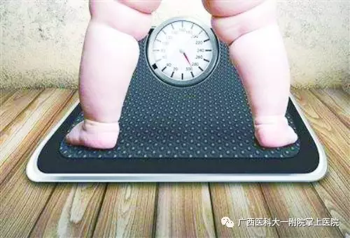 【注意】别让肥胖“累坏”了肾