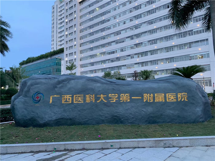 我院新增一处标志性景观医院广场文化石成打卡景点