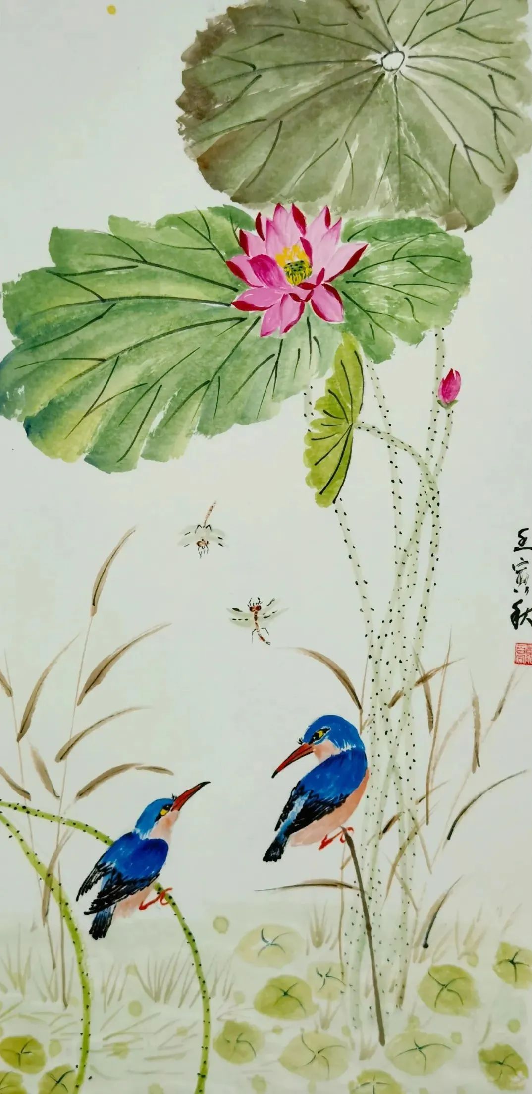 图片