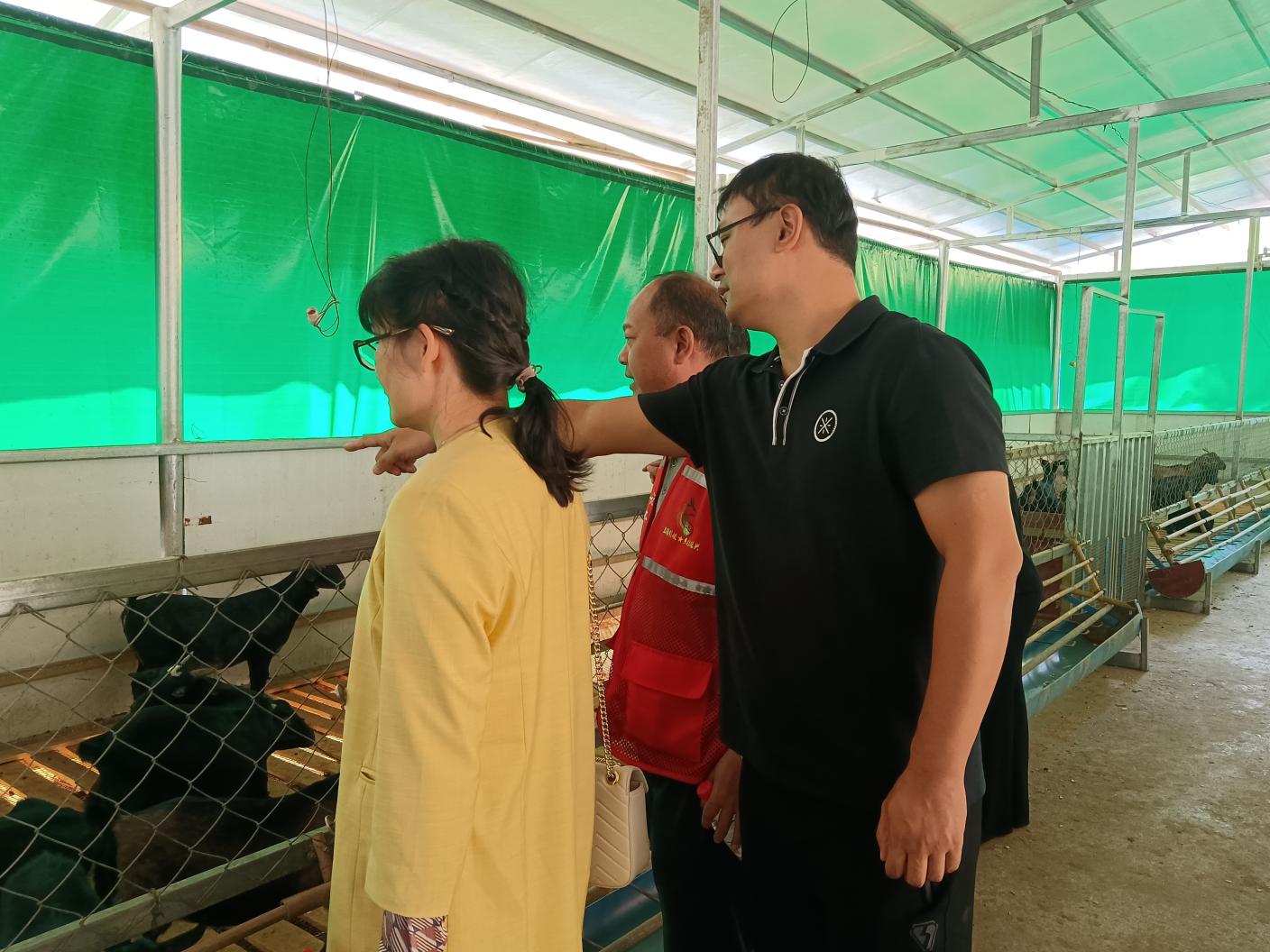 49eb14e77a0802882a97a60f1d4237a