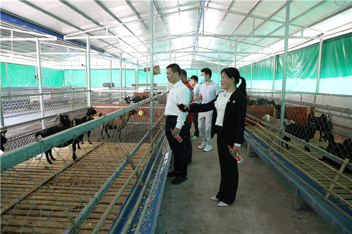 AY2A3977.jpg AY2A3977.jpg