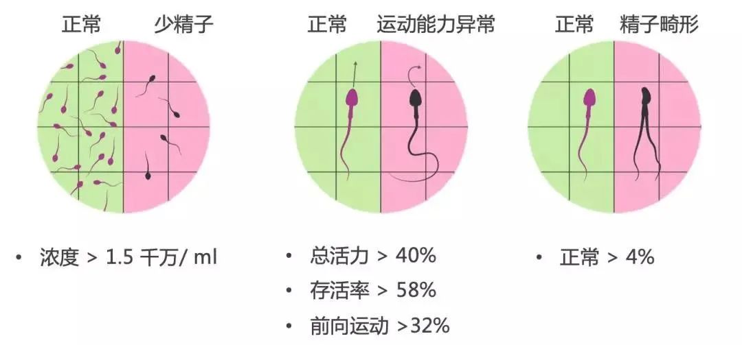 男性不育，为什么要做基因检测？