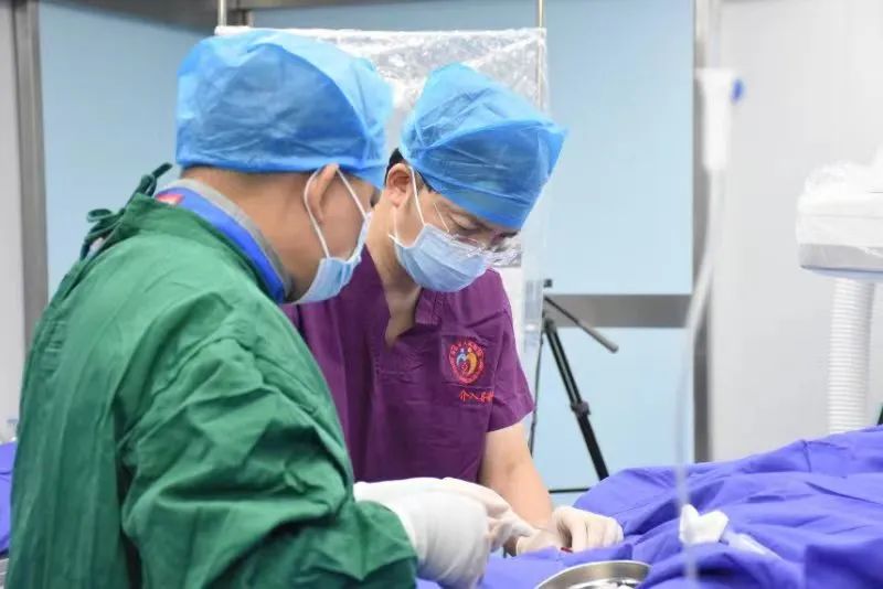 “组团式”帮扶：马山县首例冠心病心肌梗死患者介入治疗手术成功