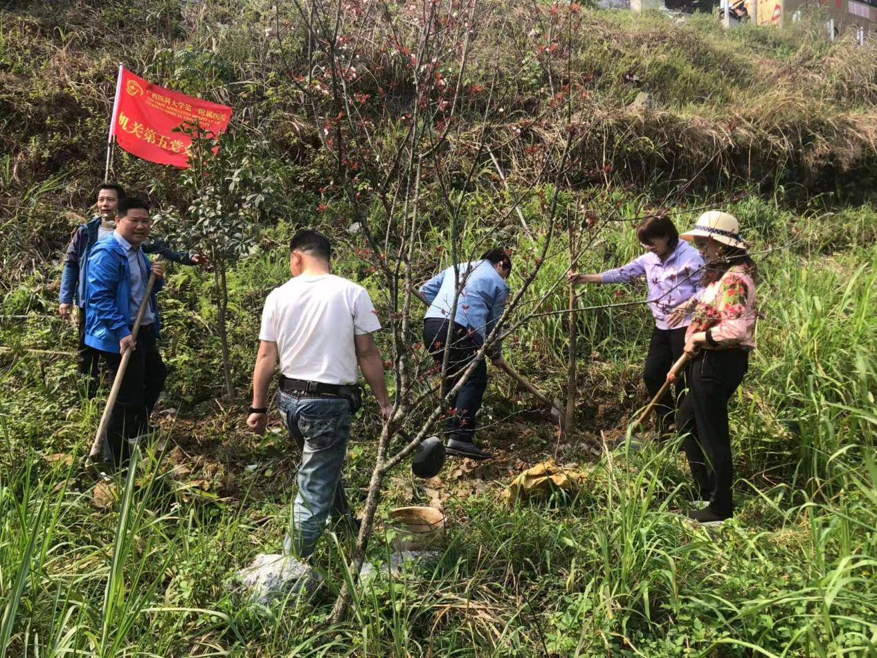 af933390ea646cf4ea541c5b9d40a56