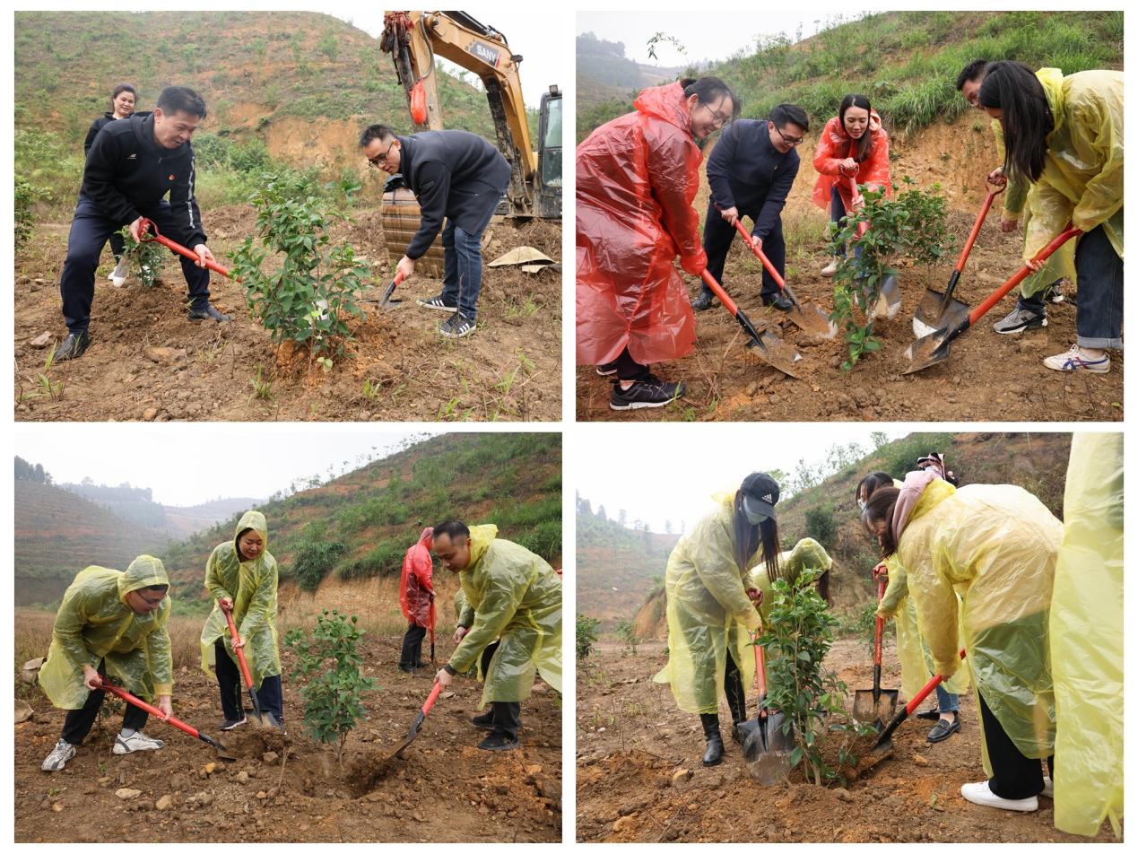 光影魔术手拼图 光影魔术手拼图