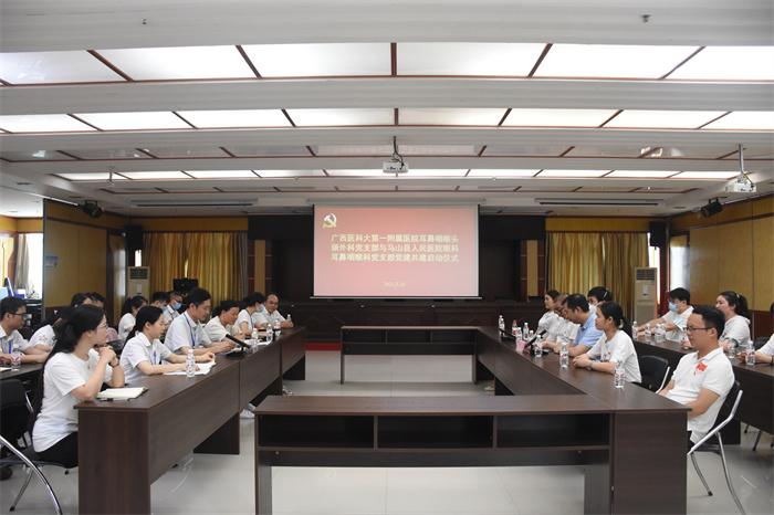 我院耳鼻咽喉头颈外科党支部带领团支部和马山县人民医院外科党支部开展主题教育党建联建活动