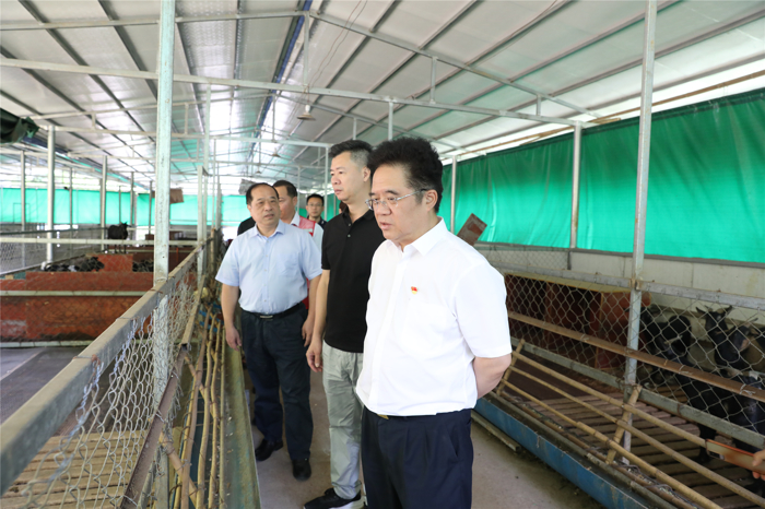 曾志羽校长带队到我院定点帮扶村开展2023年第二季度遍访活动