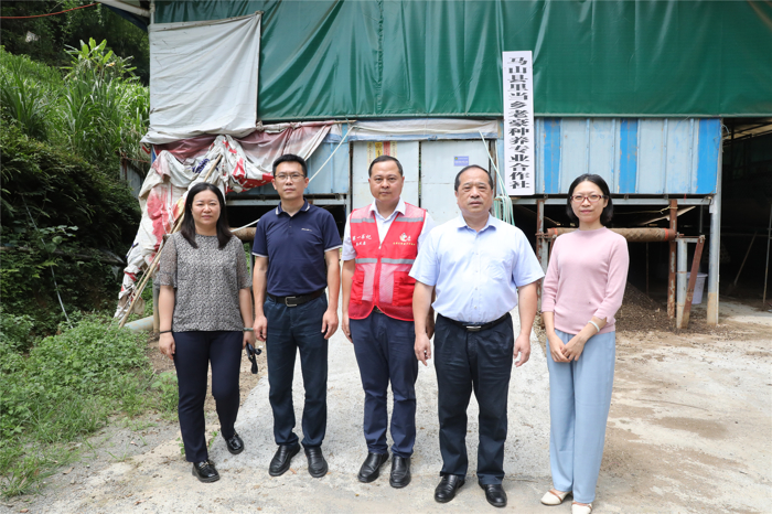 我院党委书记洪坚善到定点帮扶村青龙村走访调研