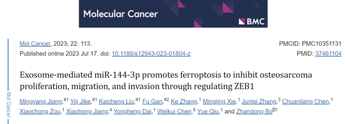 喜讯：我院薄占东团队在分子肿瘤（Molecular Cancer）杂志发表研究成果“抑制骨肉瘤的增殖、迁移与侵袭的新机制”