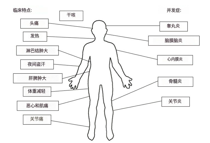 备孕吃羊胎盘大补？真实案例：吃完胎盘，差点流产……