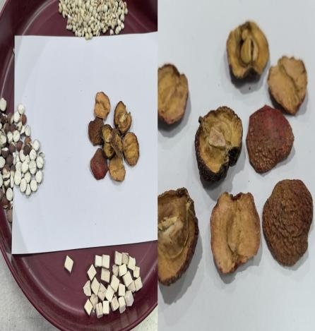 山楂：药食同源的红宝石